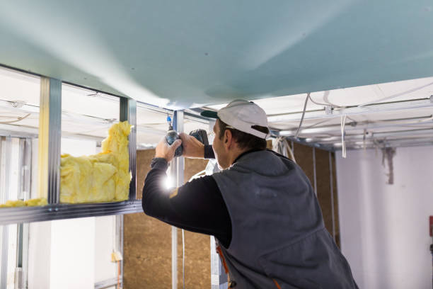 Best Commercial Insulation in Friedens, PA